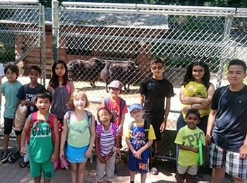Children from the Black Belt World summer camp watching animals from behind a fence during a weekly field trip to the Toronto Zoo.